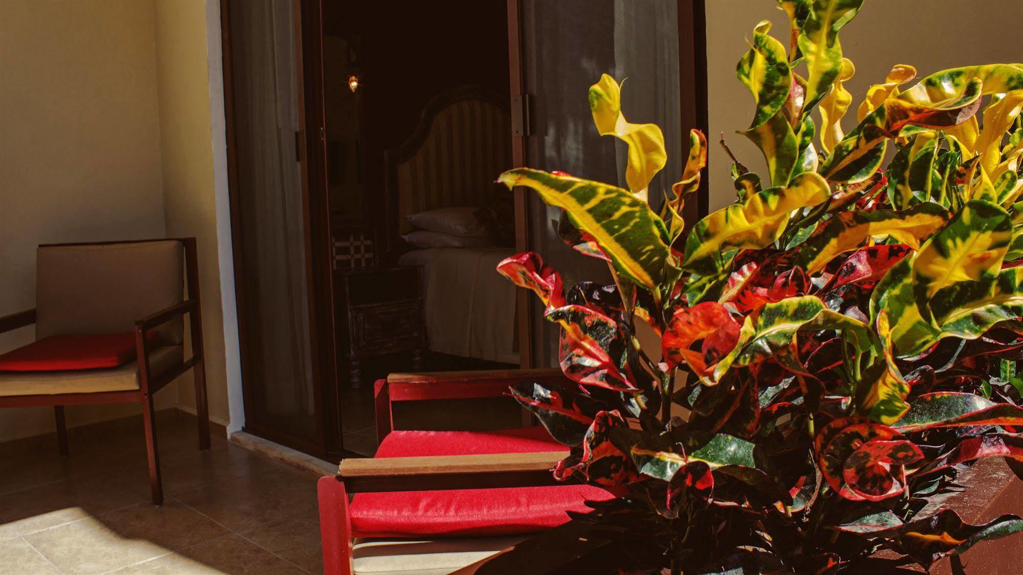 Casa Italia Luxury Guest House - Adults Only Меріда Екстер'єр фото