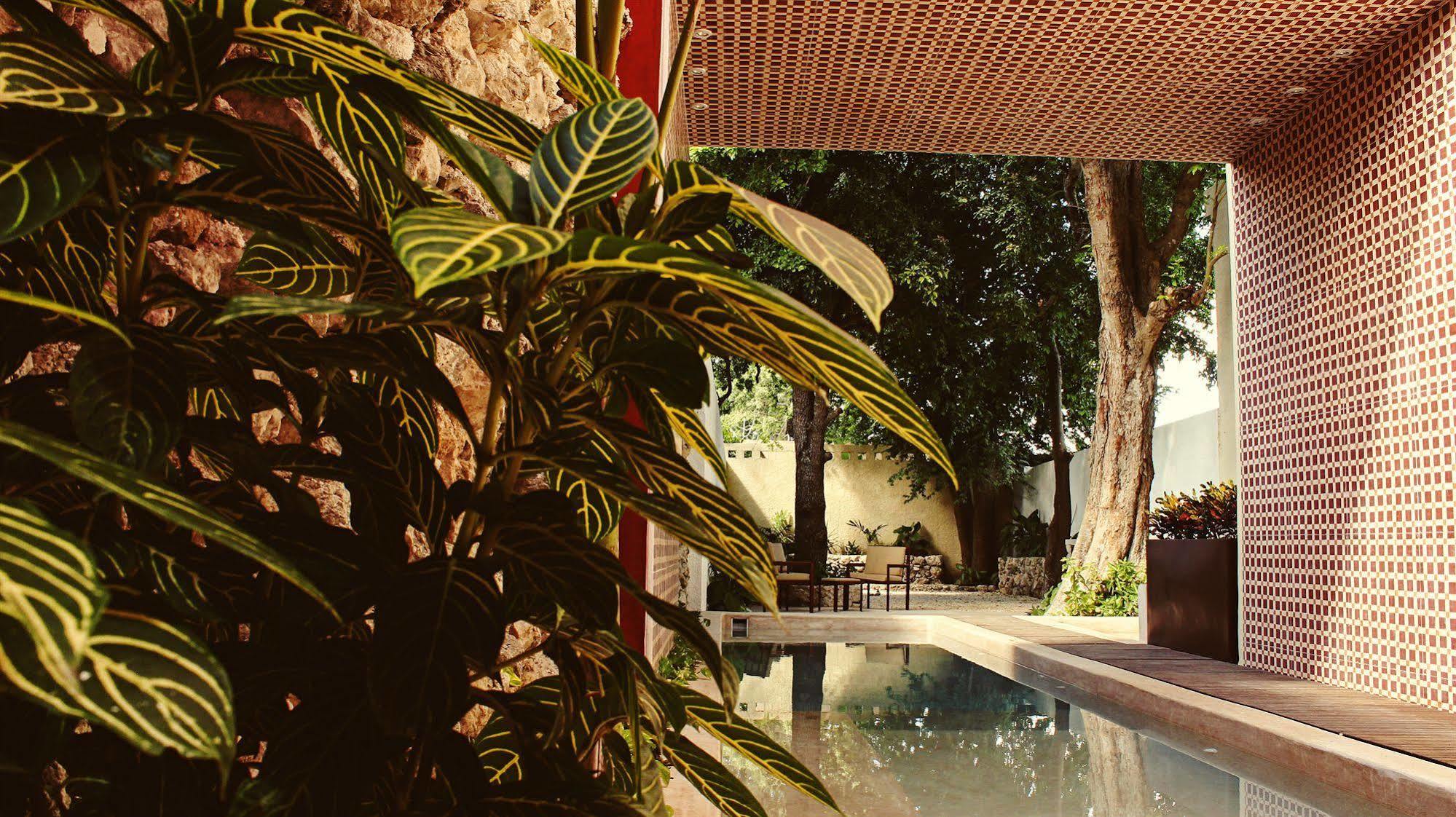 Casa Italia Luxury Guest House - Adults Only Меріда Екстер'єр фото